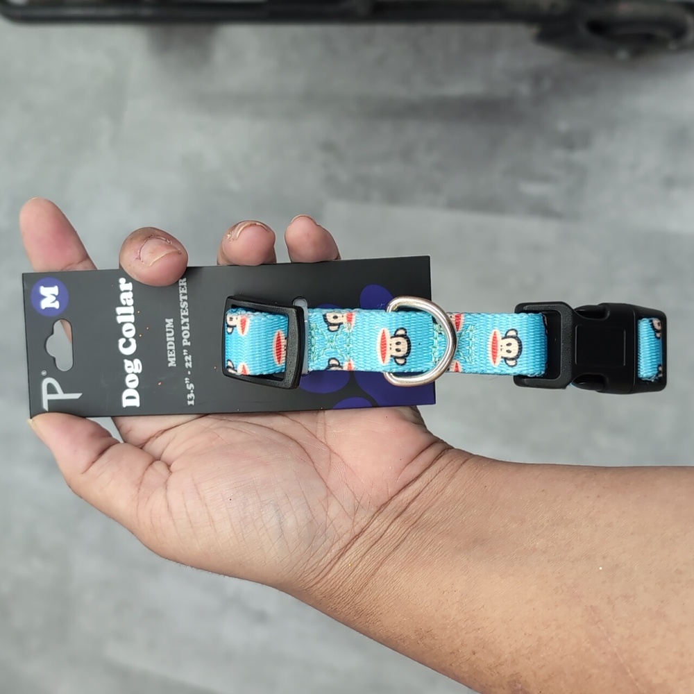 Paul Frank Dog Collar